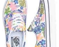 Ked Vans