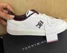 Kedlər TOMMY HİLFİGER